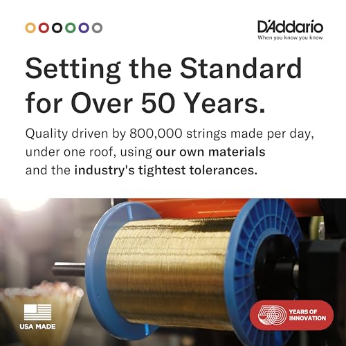 D'Addario EJ16 Acoustic 12-53 Light