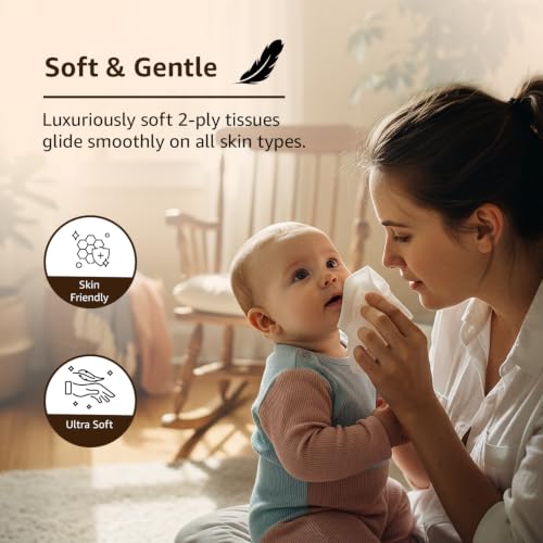 Amazon Basics 2Ply Facial Tissues