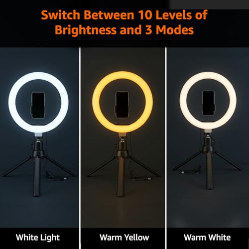 Amazon Basics 10-inch Ring Light