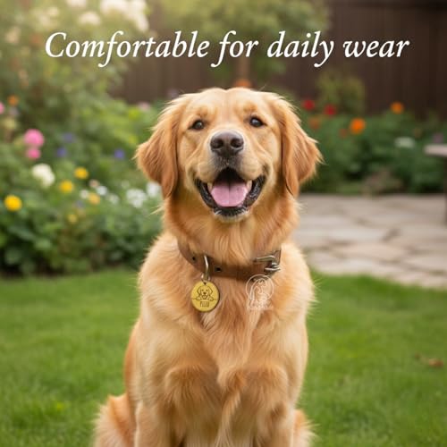 Pawpro Adjustable Nylon Dog Collar