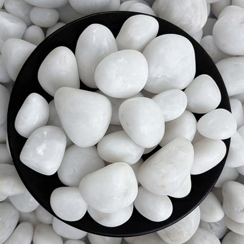 Foodie Puppies Polished White Pebbles
