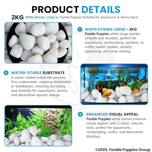 Foodie Puppies Polished White Pebbles