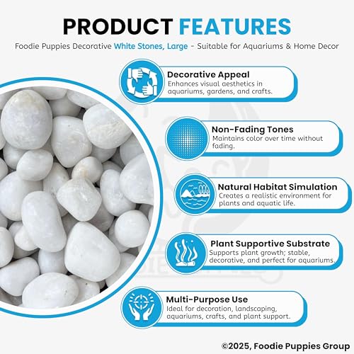 Foodie Puppies Polished White Pebbles