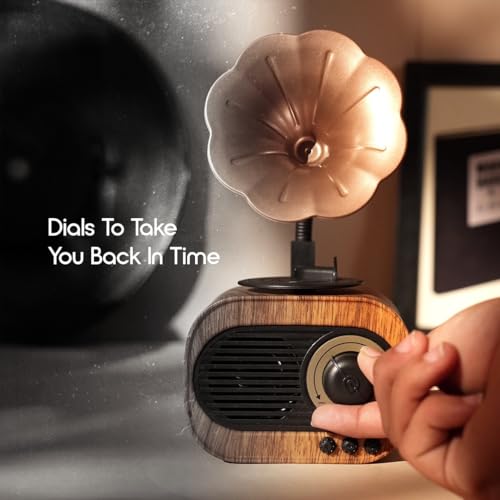 Bigsmall Vintage Retro Gramophone Bluetooth