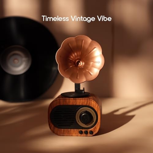 Bigsmall Vintage Retro Gramophone Bluetooth