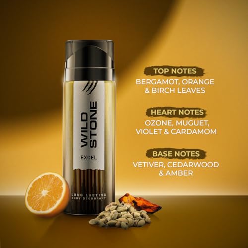 Wild Stone Excel Deodorant