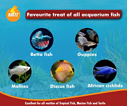 BOLTZ Freeze‑Dried Blood Worms Fish