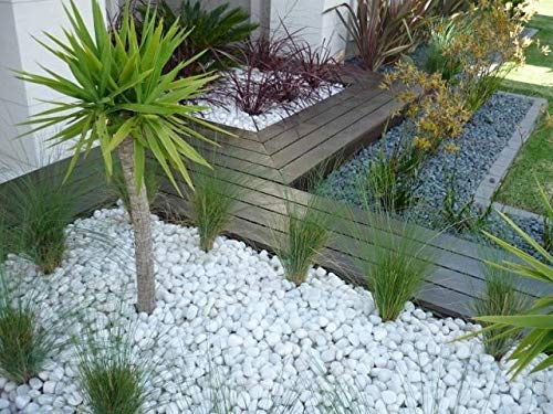 2 Kg Polished White Pebbles
