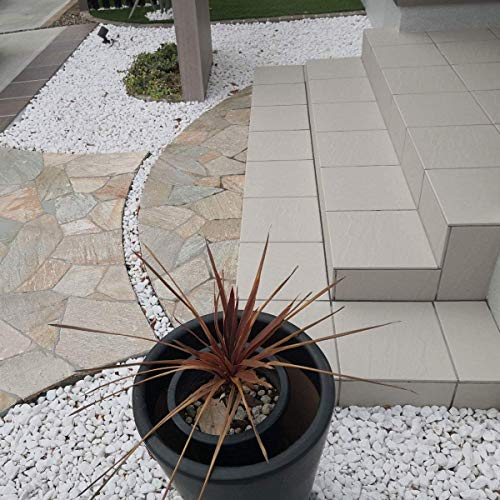 2 Kg Polished White Pebbles