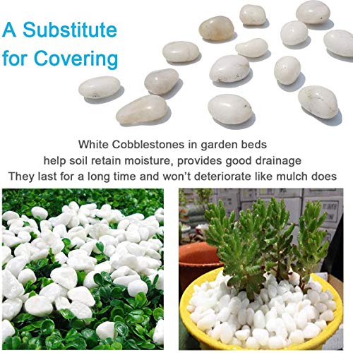 2 Kg Polished White Pebbles