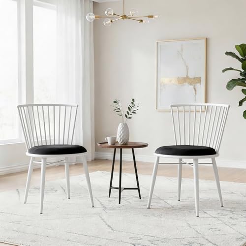 Amazon Brand- Solimo Iron Chair