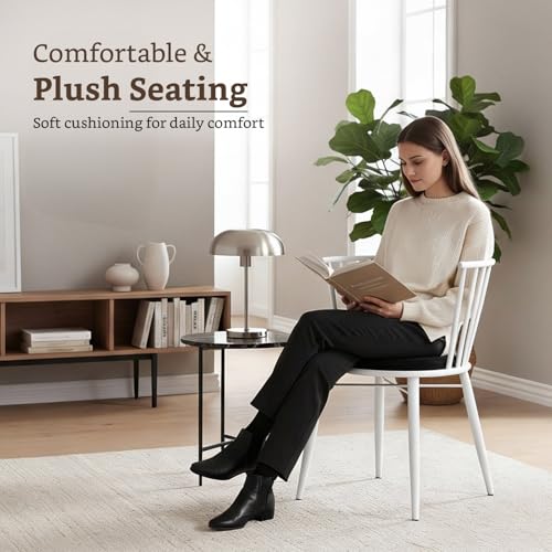 Amazon Brand- Solimo Iron Chair