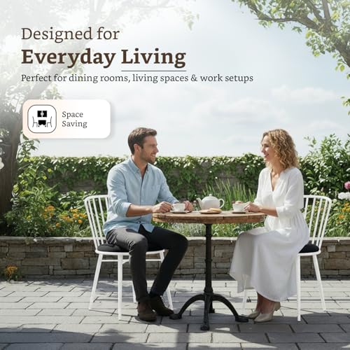 Amazon Brand- Solimo Iron Chair