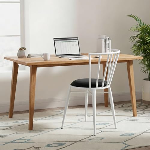 Amazon Brand- Solimo Iron Chair