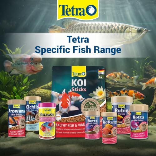 Tetra BITS Complete Fish Food 93g for Discus & Tropical Fish - Image 4