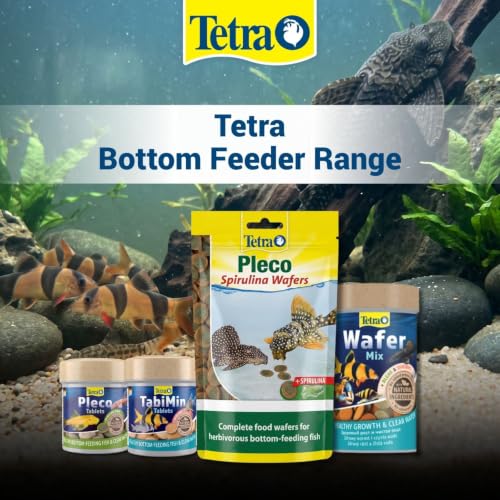 Tetra BITS Complete Fish Food 93g for Discus & Tropical Fish - Image 5
