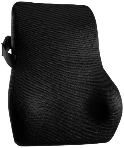 Amazon Basics Orthopedic Back Brace