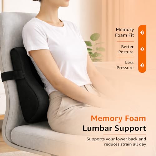 Amazon Basics Orthopedic Back Brace
