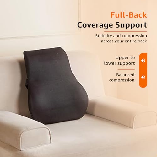 Amazon Basics Orthopedic Back Brace