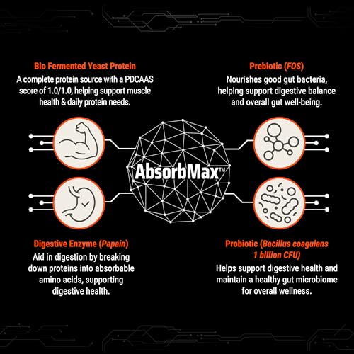 FUELONE Alpha Max Protein Blend, Cold Coffee, 1kg (2.2lbs) - Image 4