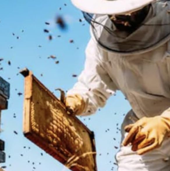 BOMBAY PREMIUM Gloves for Beekeeping