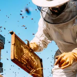 Gloves for Beekeeping | EN388 & EN374 Certified Bee Gloves 1 Pair - Image 7