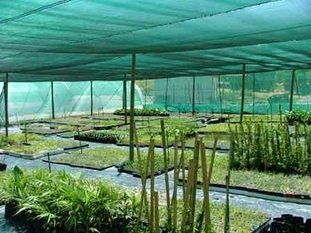 BENAVJI Green Shade Net 50%