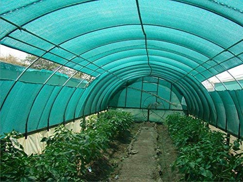 Divayanshi Green ShadeNet | UV