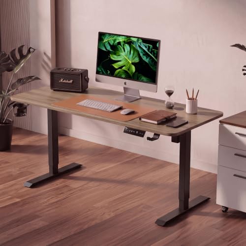 V ONE Electric Standing Desk