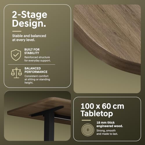 V ONE Electric Standing Desk