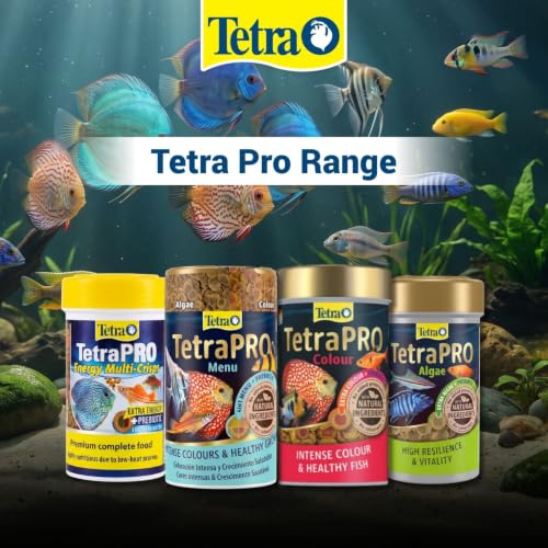 TETRA BITS Complete Bio-Active Formula Fish Food, 30 g - Image 3