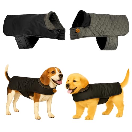 Sage Square Reversible Quilted Dog
