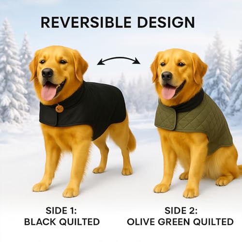 Sage Square Reversible Quilted Dog