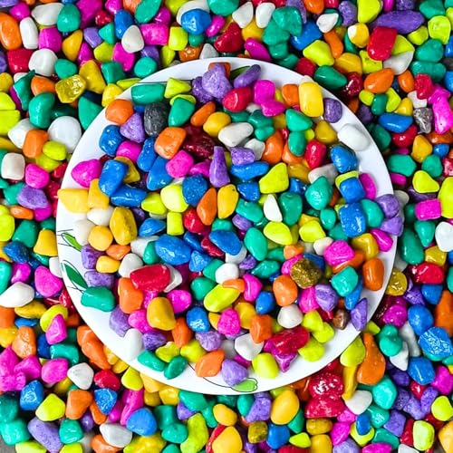 Foodie Puppies Colored Decorative Multicolor