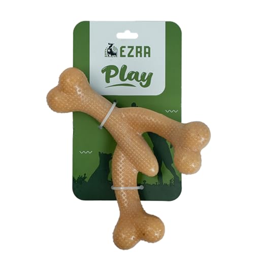EZRA Play Lobster Bone Dog