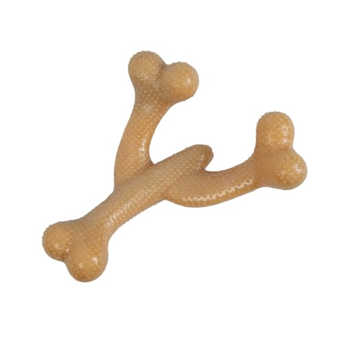 EZRA Play Lobster Bone Dog