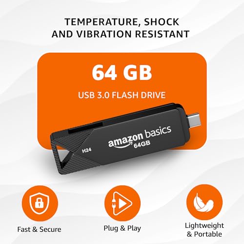 Amazon Basics 64GB Flash Drive