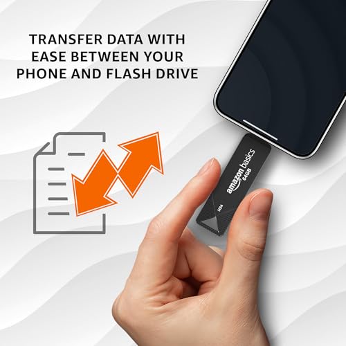 Amazon Basics 64GB Flash Drive