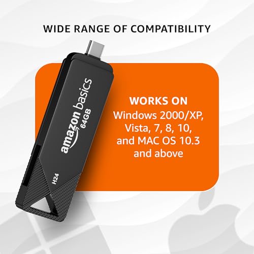 Amazon Basics 64GB Flash Drive