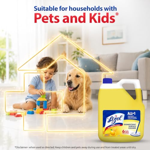 Lizol Disinfectant Surface & Floor