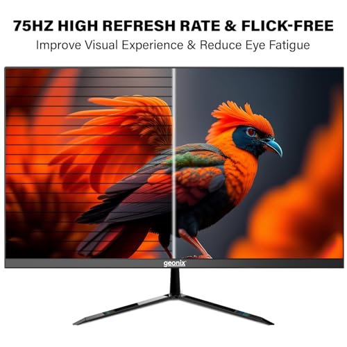 GEONIX 22 Inch PC Monitor