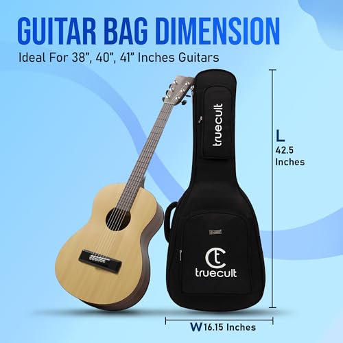 True Cult Acoustic Guitar Bag/Cover