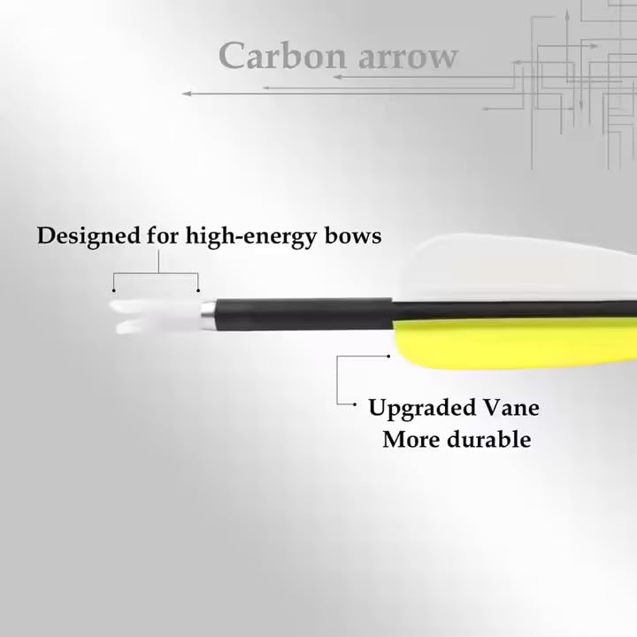 Leosportz Archery Professional Arrows