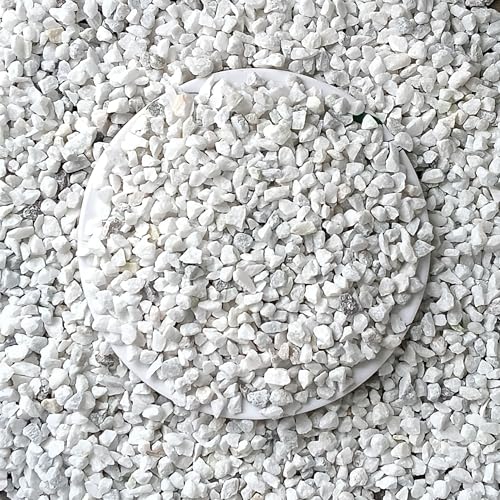Foodie Puppies Natural Gravel Decorative