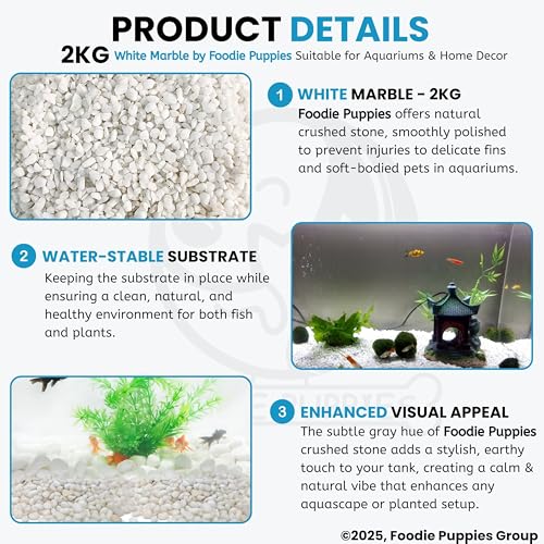 Foodie Puppies Natural Gravel Decorative