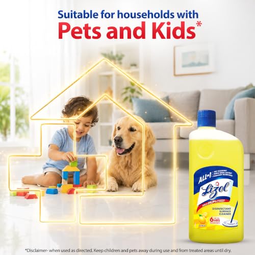 Lizol Disinfectant Surface & Floor