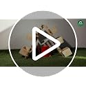 TrustBasket Sleek Plant Stand