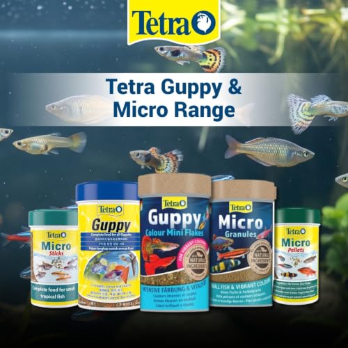 Tetra Bits Complete Fish Food