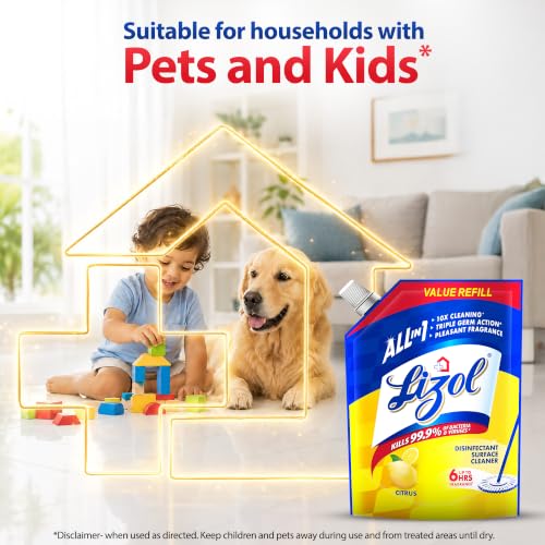 Lizol Disinfectant Surface & Floor
