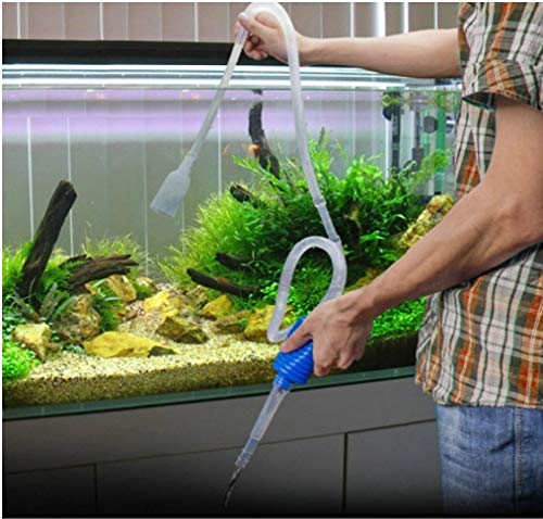 TED Tabbies Aquarium Fish Tank